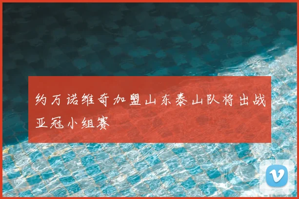 约万诺维奇加盟山东泰山队将出战亚冠小组赛