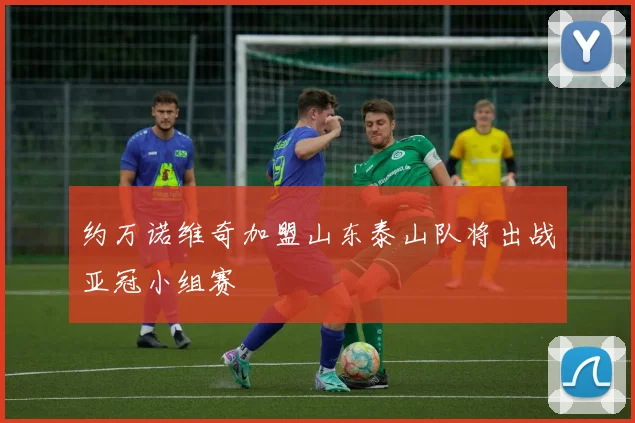 约万诺维奇加盟山东泰山队将出战亚冠小组赛