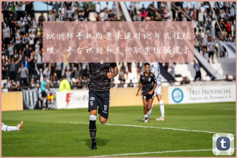 欧洲杯手机购票渠道对比与流程梳理,平台识别和支付取票防骗提示
