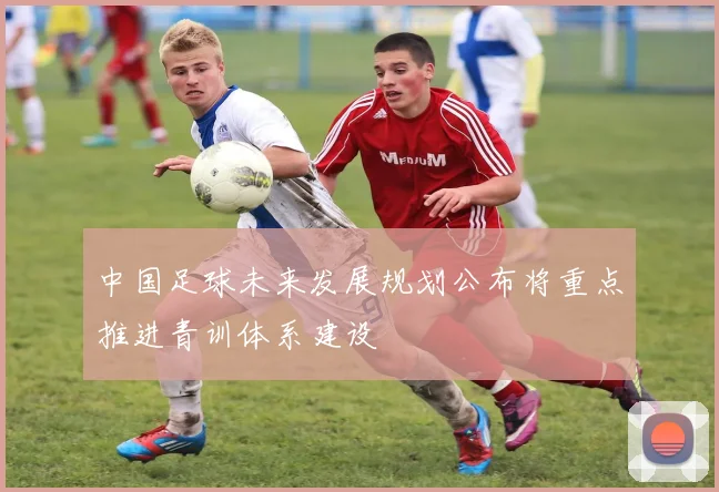 中国足球未来发展规划公布将重点推进青训体系建设