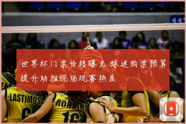 世界杯门票价格曝光 球迷购票预算提升助推现场观赛热度