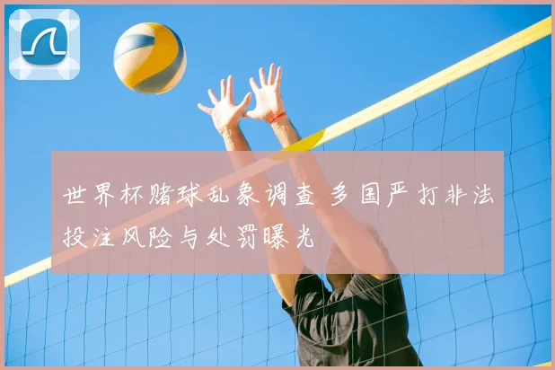 世界杯赌球乱象调查 多国严打非法投注风险与处罚曝光